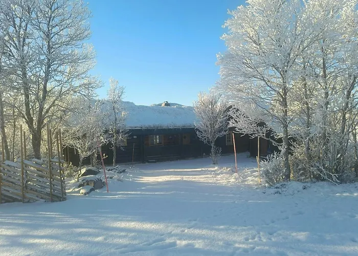 Log Near Muen And Myafallene